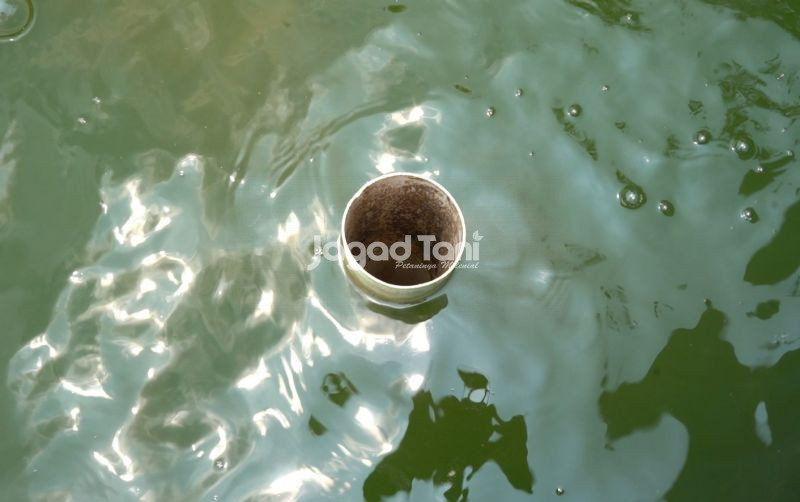 uploads/news/2026/07/buang-air-kolam-otomatis-90392a36e674493.jpeg