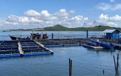uploads/news/2026/07/budi-daya-lobster-batam-89742c5d97f3520_400.jpeg