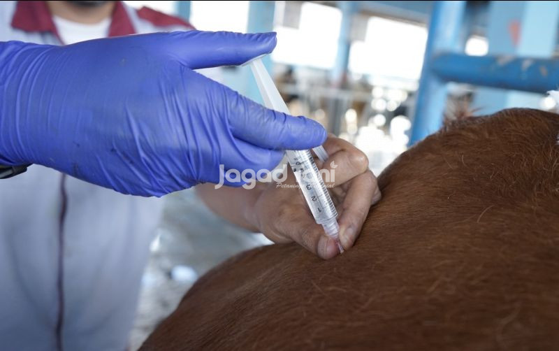 uploads/news/2026/07/bvet-banjarbaru-diharapkan-jadi-64932ad4a9509ed.jpeg
