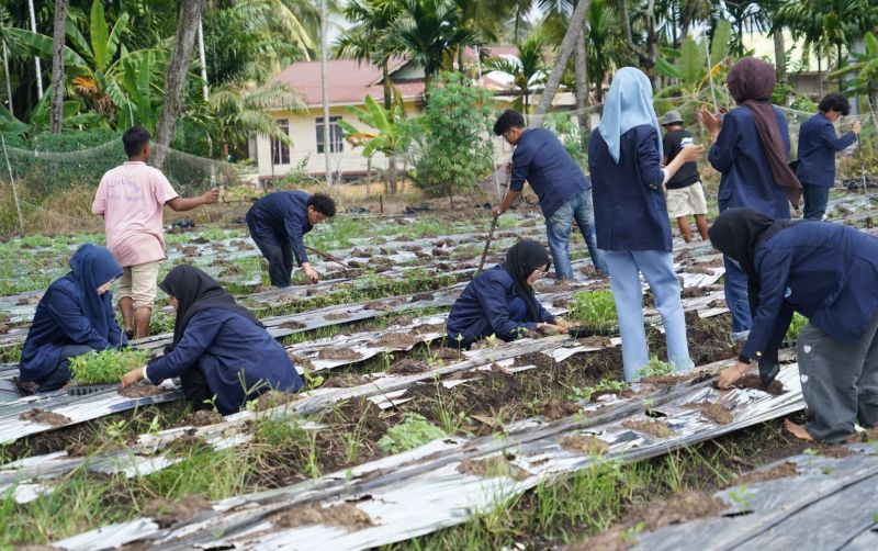 uploads/news/2026/07/kelompok-tani-milenial-tanam-353829e8a3b5eea.jpg