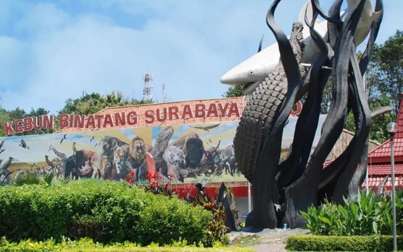 uploads/news/2026/07/korupsi-kbs-lembaga-konservasi-64837fafb6e3193.jpeg