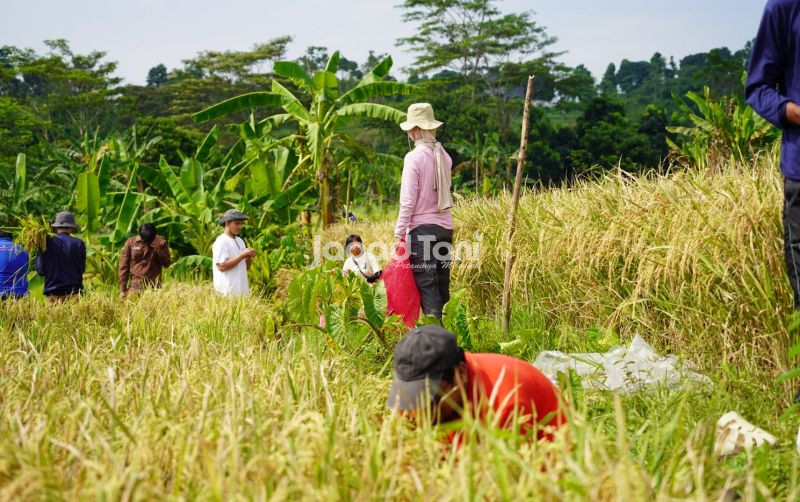 uploads/news/2026/07/masuki-puncak-kemarau-petani-2927121199bbba3.jpeg