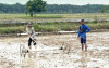 uploads/news/2026/07/mengenal-metode-tanam-padi-136046197cb02b4_100.png