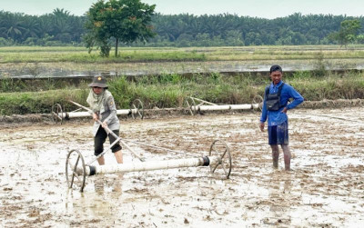 uploads/news/2026/07/mengenal-metode-tanam-padi-136046197cb02b4_400.png