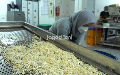 uploads/news/2026/07/menjajal-peluang-pemasaran-dari-2382346ca49f03d_400.jpeg
