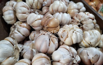 uploads/news/2026/07/pantauan-harga-bawang-putih-987861321a198d7_400.jpeg