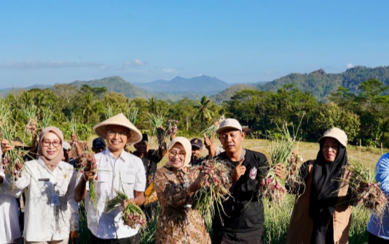 uploads/news/2026/07/petani-padi-kebumen-kembangkan-48401fd56693bda.png