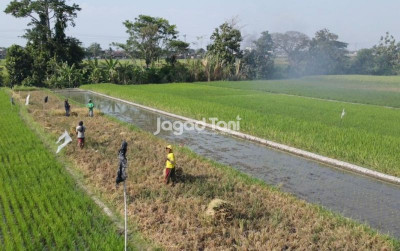 uploads/news/2026/07/petani-sidrap-cari-solusi-72725b0187d7329_400.jpeg