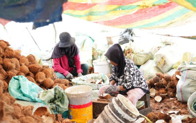 uploads/news/2026/07/tembus-pasar-asia-kelapa-11136ff776b3b84_400.jpg