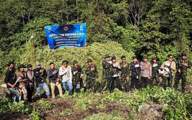uploads/news/2026/08/30-000-batang-ganja-di-94560510dc8a60e.jpeg
