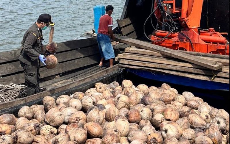 uploads/news/2026/08/80-000-bibit-kelapa-natuna-64529db694fb2ed.jpeg
