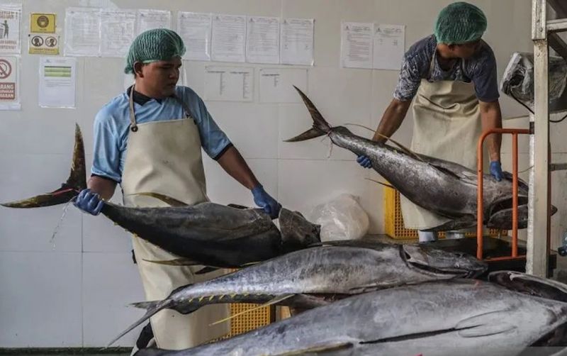 uploads/news/2026/08/aturan-baru-pengangkutan-barang-98846a154d9162b.jpeg