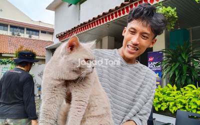 uploads/news/2026/08/cara-membawa-peliharaan-liburan-2125797bcedd700_400.jpeg