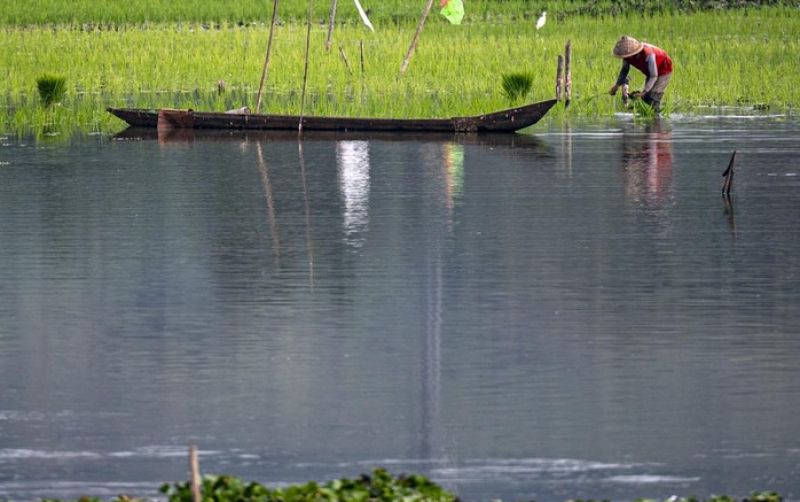 uploads/news/2026/08/danau-rawa-pening-menyusut--241879a8ee97d7b.jpeg