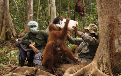 uploads/news/2026/08/dikepung-karhutla-bagaimana-nasib-332633047cec47c_400.jpg