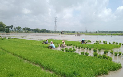 uploads/news/2026/08/hadapi-kemarau-panjang-petani-171841f687a7776_400.png