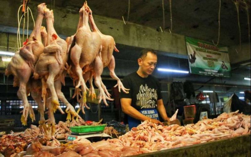 Harga Ayam di Kota Bandung Alami Kenaikan
