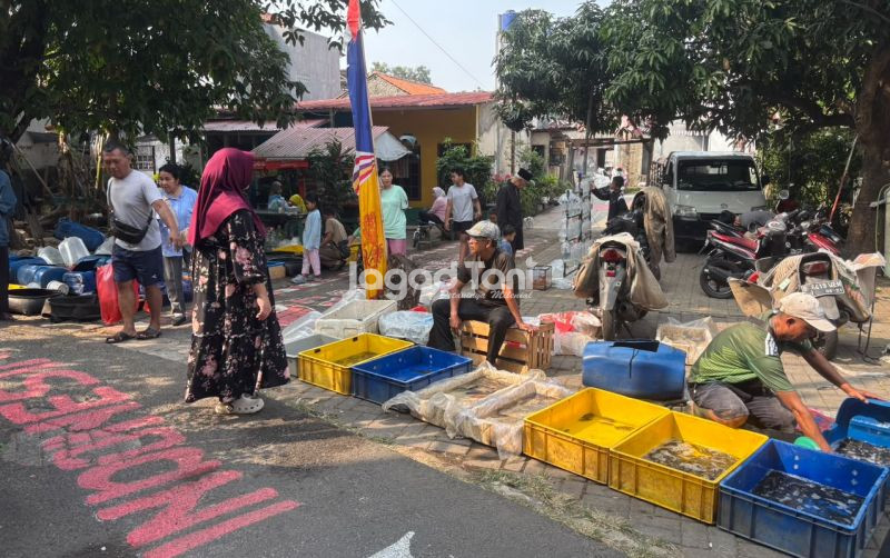 uploads/news/2026/08/harga-bibit-ikan-di-682676cfe8d1010.jpeg