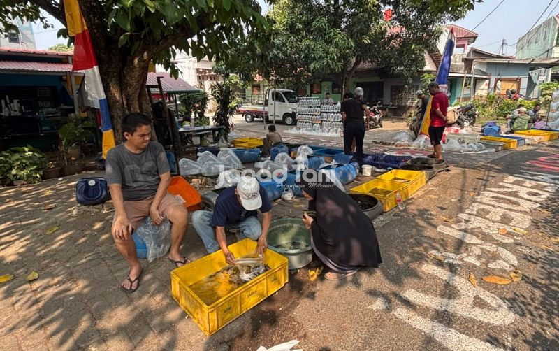 uploads/news/2026/08/hiu-air-tawar-hingga-652455fe6d0f96a.jpeg