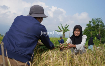 uploads/news/2026/08/jaga-keberlanjutan-petani-harus-144178ecab3b678_400.jpg