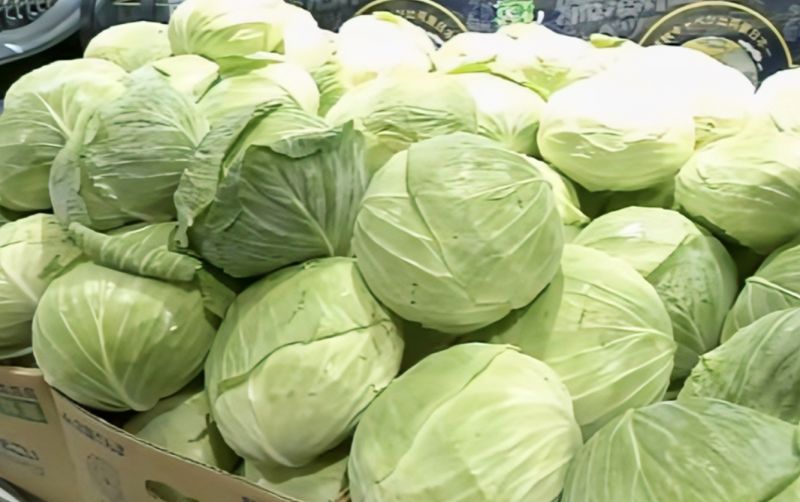 uploads/news/2026/08/jepang-manfaatkan-satelit-untuk-26987bfcf7572f6.jpg