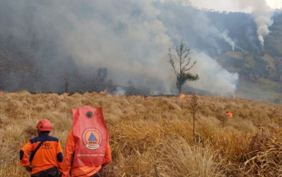 uploads/news/2026/08/karhutla-di-gunung-bromo--659044c57567007_400.jpg