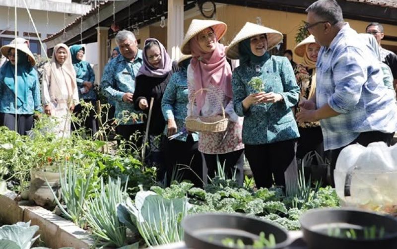 uploads/news/2026/08/ketahanan-pangan-keluarga-ala-872458af6ef6fb7.jpg