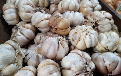 uploads/news/2026/08/perkuat-produksi-bawang-putih-14065d5aca0bc5b_400.jpeg