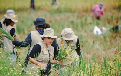 uploads/news/2026/08/petani-panduani-kepulauan-yapen--6056350d60e8b2a_400.jpeg