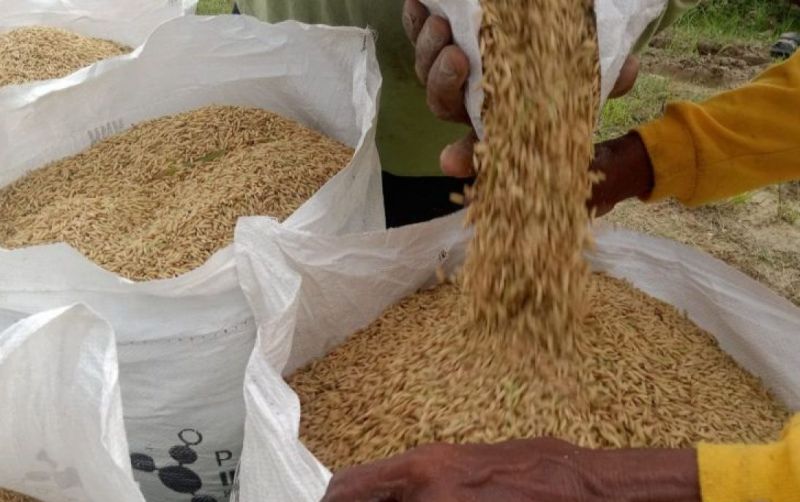 uploads/news/2026/08/petani-penajam-terima-kepastian-55284f2afb4076f.jpg