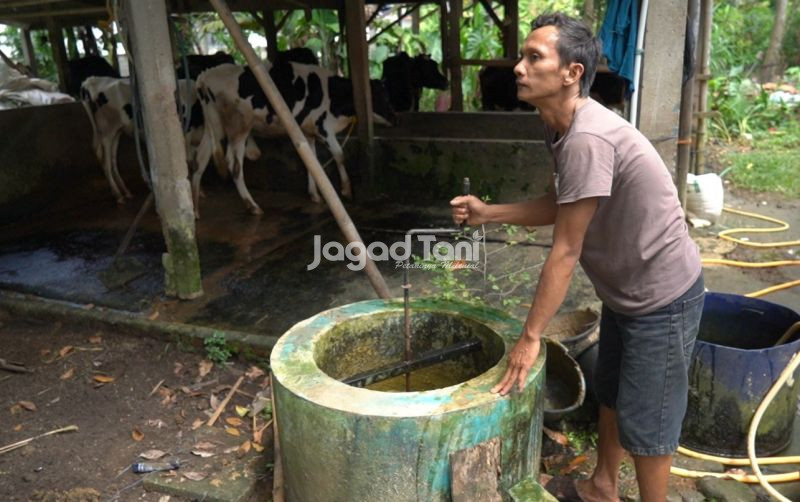 uploads/news/2026/08/peternak-tonjong-sulap-kotoran-98387b0430b86fd.jpeg