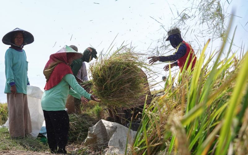 uploads/news/2026/08/strategi-atasi-fluktuasi-harga-826853a090168be.jpeg