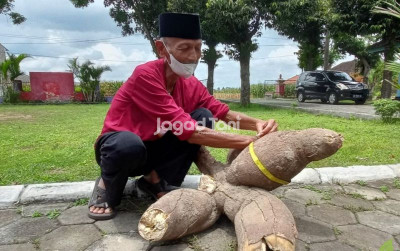 uploads/news/2026/08/tanaman-yang-indonesia-banget--206086a51297ad2_400.jpg