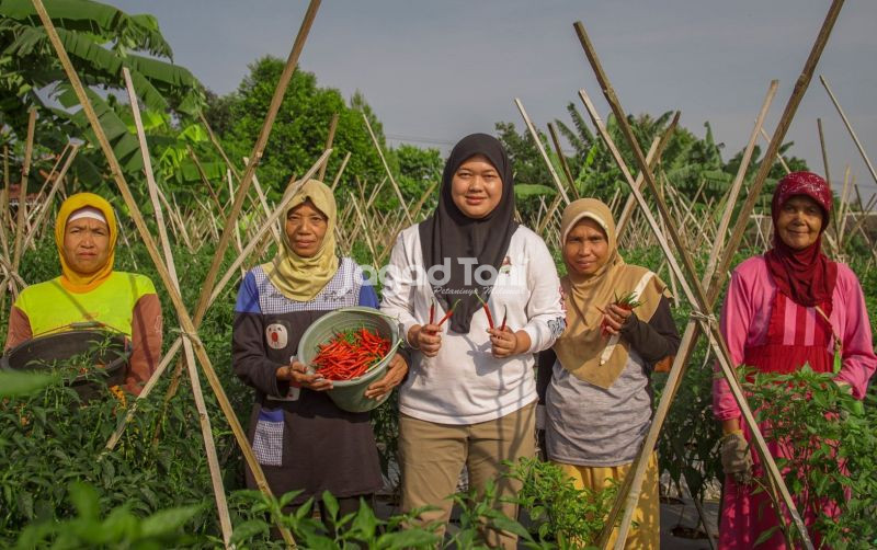 uploads/news/2026/08/tanaman-yang-indonesia-banget--81722cdf6666171.jpg