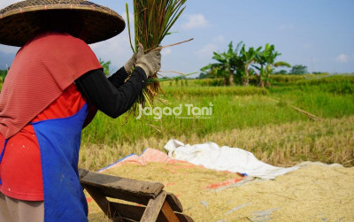 uploads/news/2026/09/buruh-tani-kini-bisa-56380ebbc938b9b_400.jpeg