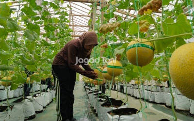 uploads/news/2026/09/cara-mengurangi-stres-akar-170708328627530_400.jpeg