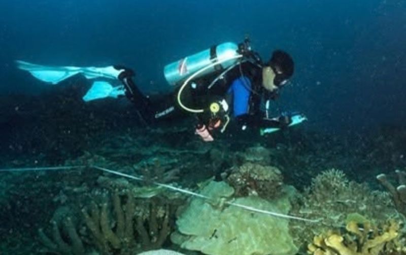 uploads/news/2026/09/kawasan-maksegara-ditetapkan-jadi-7268989311897f6.jpg