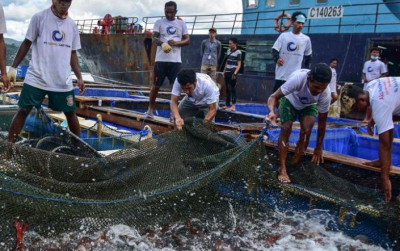 uploads/news/2026/09/kerapu-asal-raja-ampat-788499240ab5a7d_400.jpeg