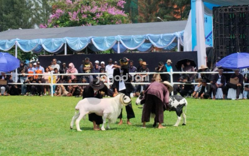uploads/news/2026/09/kontes-jadi-ajang-pengembangan-62671b21907c208.jpg