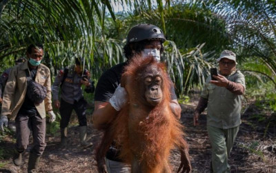 uploads/news/2026/09/meluasnya-karhutla-bksda-kalbar-312462b93f82a52_400.jpeg