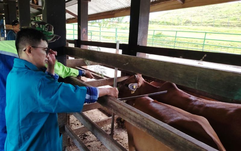 uploads/news/2026/09/mutu-bibit-sapi-aceh-31522d7289053a7.jpeg