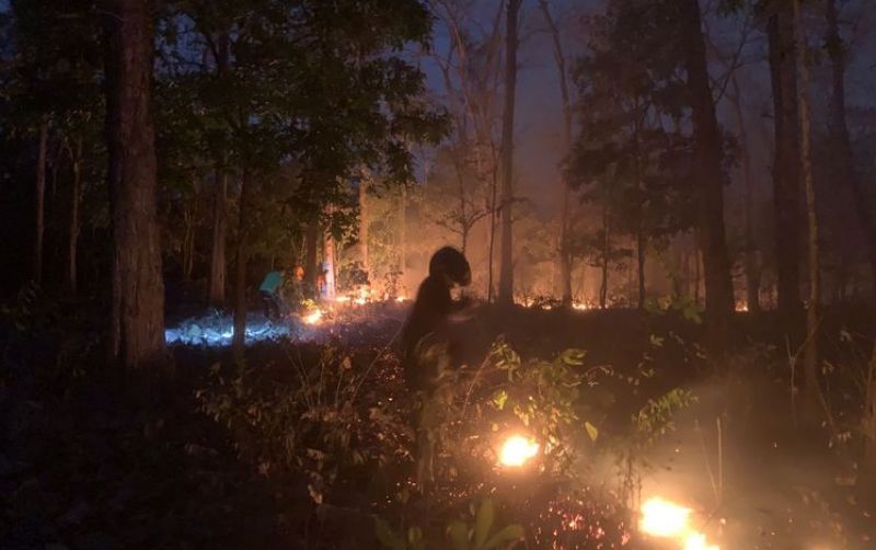 uploads/news/2026/09/pelaku-pembakaran-hutan-di-35763604629b36b.jpeg