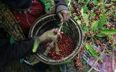 uploads/news/2026/09/pemuda-aceh-tengah-diajak-388057e35e9abf5_400.jpeg