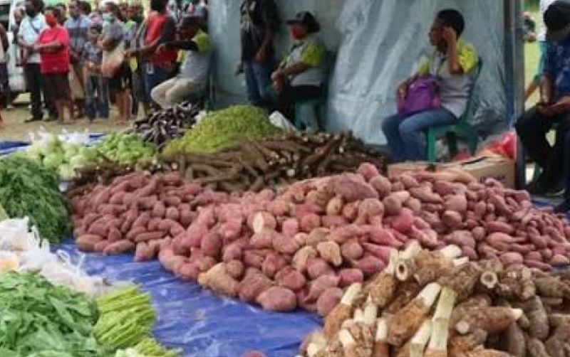 uploads/news/2026/09/potensi-pangan-lokal-papua-716686fb768f93c.jpg