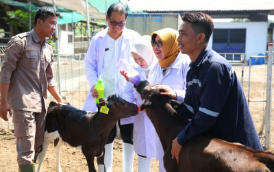 uploads/news/2026/09/sapi-grati-punya-potensi-81641fdf99aa687_400.jpeg