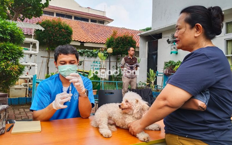 uploads/news/2026/09/sejumlah-daerah-bakal-gelar-5162377d1014021.jpeg