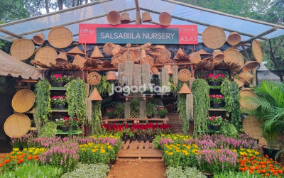 uploads/news/2026/09/tanaman-hias-punya-cerita--77824879053486a_400.jpeg