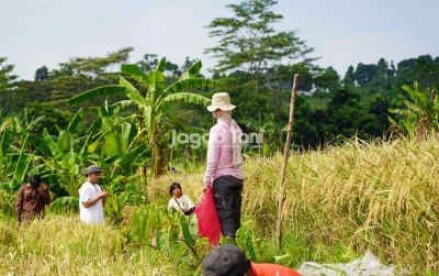uploads/news/2026/09/tips-agar-petani-siap-358008aec210e71_400.jpeg