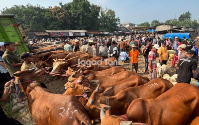 uploads/news/2026/09/waspadai-brucellosis-sapi-bisa-6035701b38e1a0b_400.jpeg