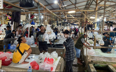 uploads/news/2026/10/5-pasar-ikan-hias-620021d0f1a8daa_400.jpg